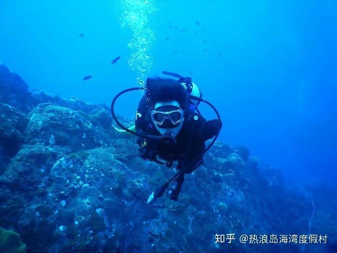 刘若英邀请王宝强参加自己的演唱会被拒,隔天却收到一个大惊喜